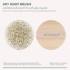 EcoTools Dry Body Brush, for Post Shower & Bath Skincare
