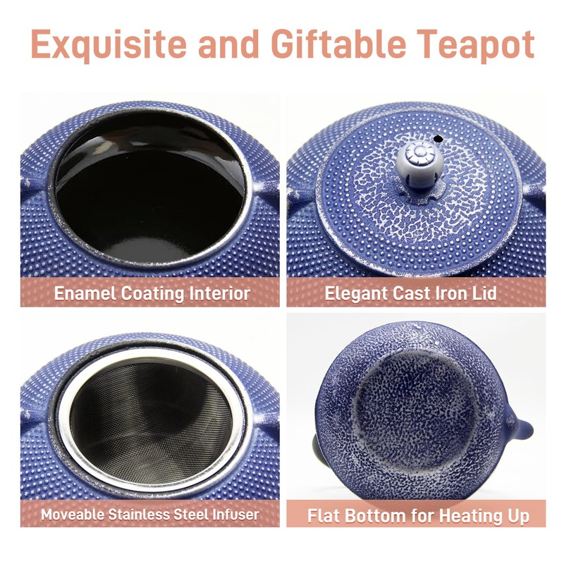 SECHUDO Cast Iron Teapot Tea Kettle with Stainless Steel Infuser
