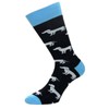 Cup Of Sox Women's and Men's Funny Socks with Colourful