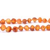 Genuine Baltic Amber Necklace - Raw not Polished Beads -