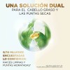 Shampoo Equilibrante Pantene Pro Miracles Equilibrio Raíz Puntas 510