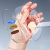 180 Degree Hand Makeup Makeup Mixing Palette with Transparent Spatula