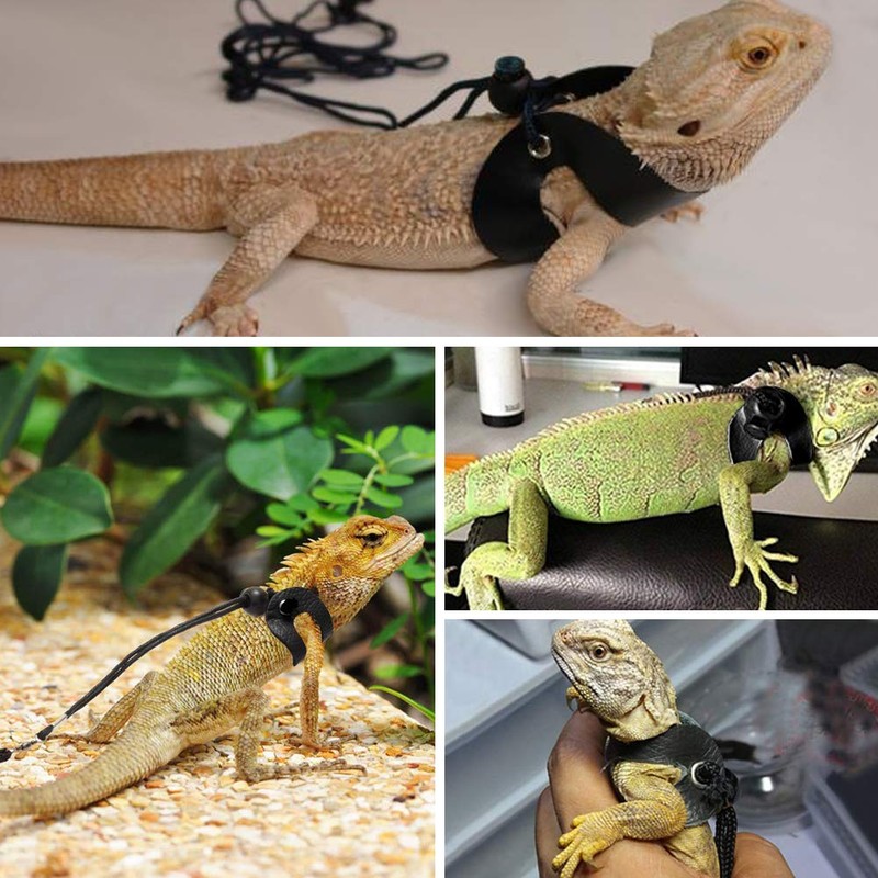 3 Packs Bearded Dragon Harness and Leash Adjustable(S,M,L) - Soft
