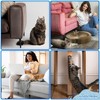 Cat Training Tape - 10cm / 4" Wide, 27.4m /