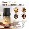 Ecodrop Frankincense Essential Oil I 5ml I Genuine Carterii from