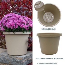 The HC Companies 16 Inch Round Prima Planter - Plastic Plant Pot with Rolled Rim for Indoor Outdoor Plants Flowers Herbs, Sandstone (Pack of 2)