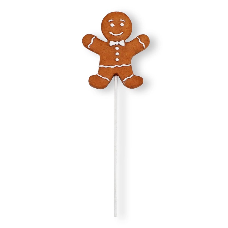 colourliving Gingerbread Figures Decoration Flower Stake Gingerbread Stake 6 Pieces