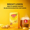 Lipton Lemon Ginger Tea Bags, Caffeine Free Tea, Refresh Fruit