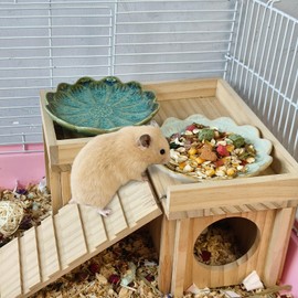 4PCS Ceramic Hamster Food Dish,Sunflower Guinea Pig Food Bowls 4.5in
