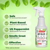 Mighty Mint Peppermint Oil Ant Killer Spray – Natural Ant