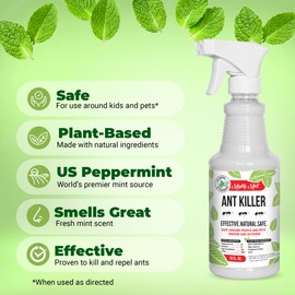 Mighty Mint Peppermint Oil Ant Killer Spray – Natural Ant Repellent for Indoor & Outdoor Use – Plant-Based Insect & Pest Control – 16 oz (Pack of 2)