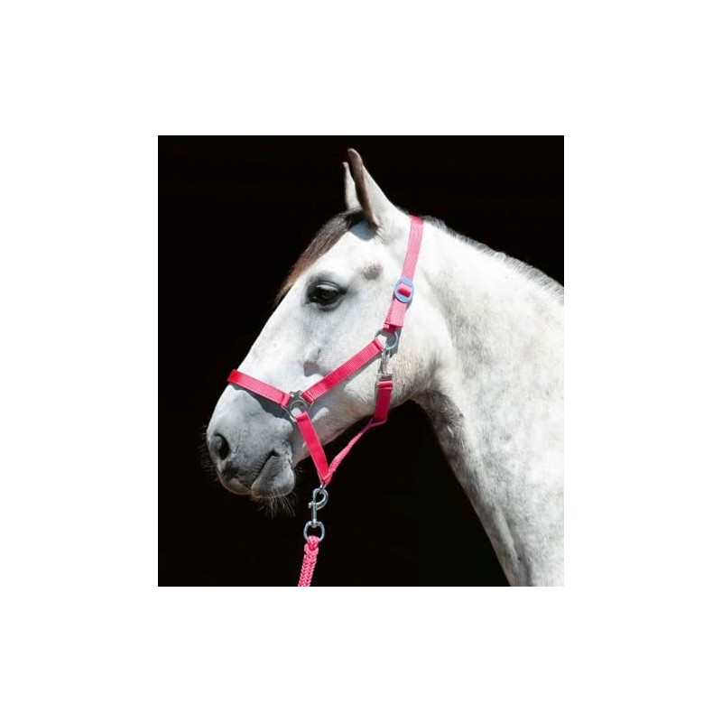 HKM Headcollar Stars Economy Softice Pink Pony