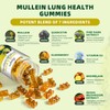 (120 pcs) Mullein Gummies for Lungs Detox– Mullein Leaf Extract