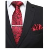 JEMYGINS Men's Stylish & Elegant Paisley Tie and Pocket Square