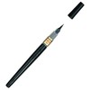 Pentel Brush, Mister Fine Point XFL2L [Set of 2]