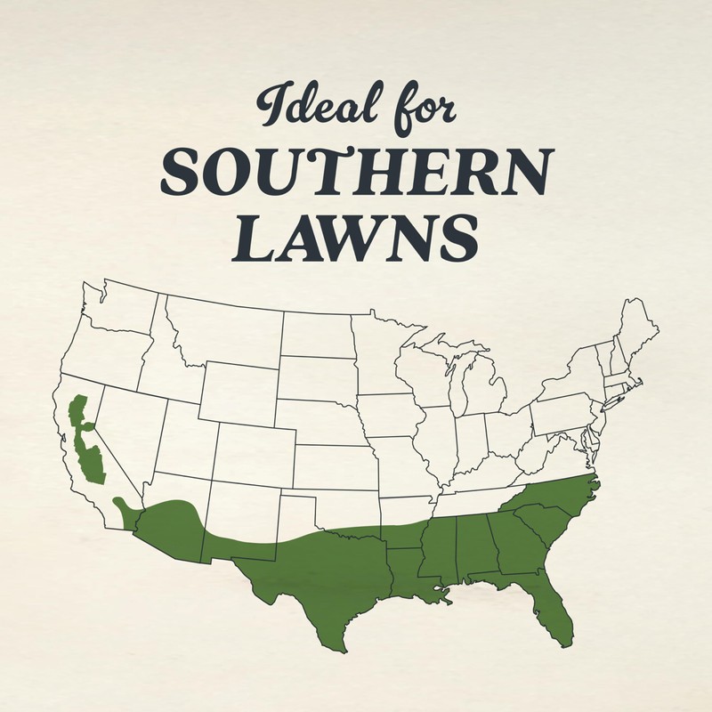 O.M. Scott and Sons Bermudagrass Grass Seed - Lawn Seed,