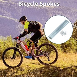 TUCKBOLD Bicycle Spokes Bicycle Wheel Spokes Silver Tone Nipple 1 Set 13G 287 mm Length 45 Galvanised Steel