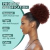 SPIKFN Afro Puff Clip On Human hair Drawstring Ponytail for