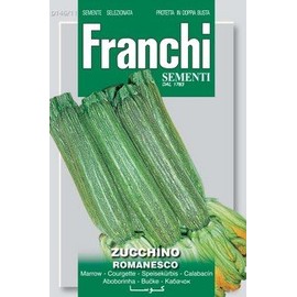 Italian Heirloom Zucchini - Romanesco