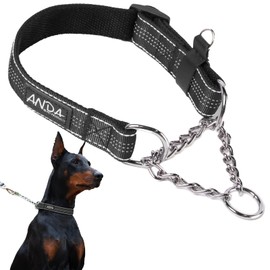 ANDA Martingale Dog Collar, Reflective Soft Nylon, Heavy-Duty Stainless Steel Chain for Medium and Large Dogs' Training and Walking (Black, Medium)