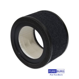 PUREBURG FLT4200 Replacement Filter Set Compatible with GermGuardian AC4200W AC4250B Air Purifier Filter L,2-Pack H13 HEPA + Activated Carbon Pre-Filter