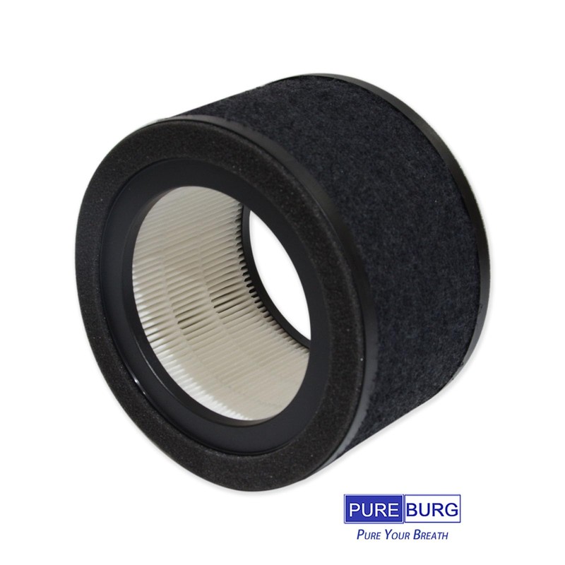 PUREBURG FLT4200 Replacement Filter Set Compatible with GermGuardian AC4200W AC4250B
