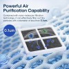 ICEPURE Premium Refrigerator Air Filter 3 Pack Compatible with LG