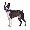 Furtent Dog Sleeve to Prevent Licking for Rear Leg, Cone