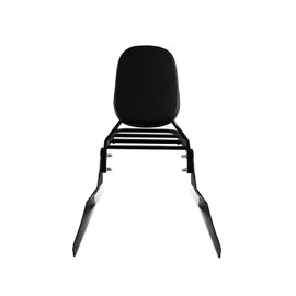 SWESGI Sissy Bar for Suzuki VL800 Boulevard C50 M50 Passenger Backrest with Luggage Rack (Black)