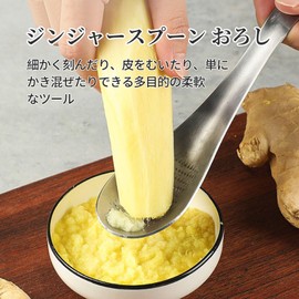 Coollooda Ginger Spoon Grater Spoon Grater Spoon Shape Stainless Steel Kitchen Utensils Ginger Garlic Radish 17x4.3cm