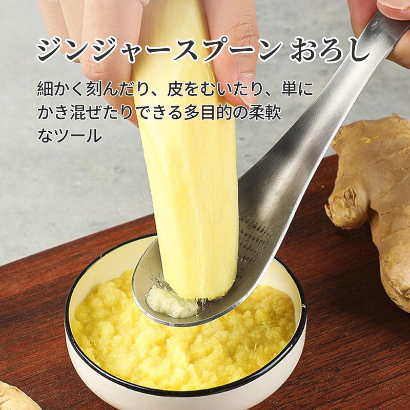 Coollooda Ginger Spoon Grater Spoon Grater Spoon Shape Stainless Steel