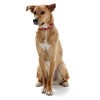 HUNTER Softie Stone Art-Nubuk Nickel Collar, 60/46 x 53 cm,