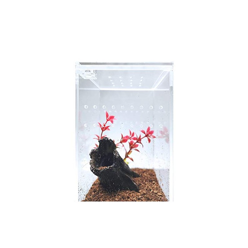 Herpcult Magnetic Acrylic Mini-Tall Enclosure 3 x 3 x 6