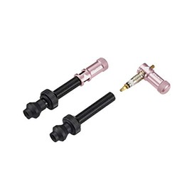 Granite Juicy Nipple Valve Cap and Presta Valve Stem Set, Bike Tire Caps Dust Covers (Pink)