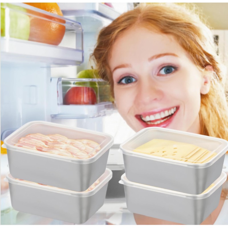 4 Pieces Stainless Steel Food Storage Containers with Clear Lid,