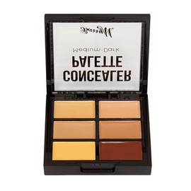 Barry M Concealer Palette , Medium/Dark