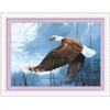 Abillyn Eagle Embossed Cross Stitch Kit with Printed Pattern Starter