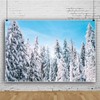 Xiaoterna 10x8ft Winter Snow Scene Backdrops Winter Landscape Forest Sky