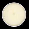 Filipino-Inspired Sampaguita Soy Blend 4oz Candle