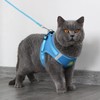 Cat Harness and Leash Small Dog Harness and Leash