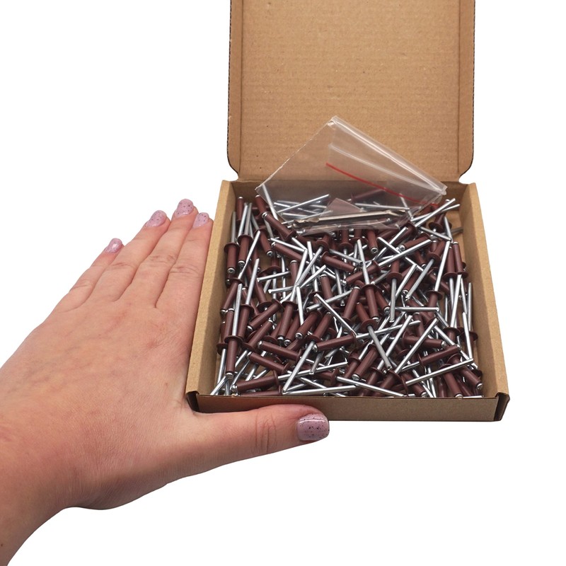 SKIR'CO Pack of 150 blind rivets painted 4.0 x 16