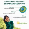 Liposomal Glutathione, Superior Absorption, Liquid Glutathione Supplement, Powerful Antioxidant, Liver