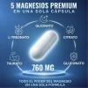 Magnesio Quelado 5 Formas Energía Sueño Estrés 60 Caps