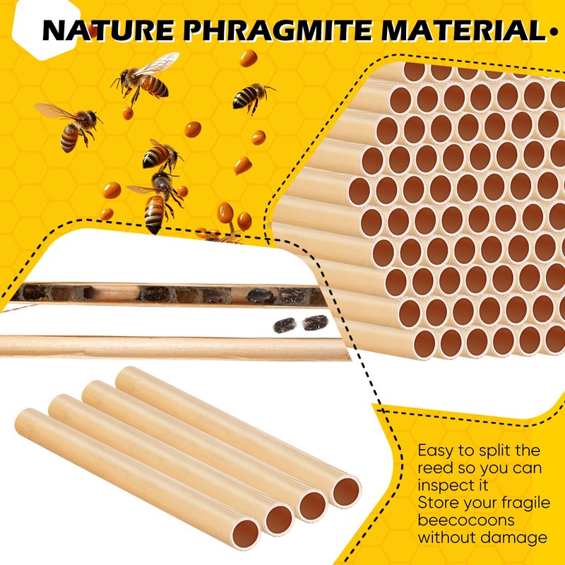 Tinideya 250 Pcs Phragmite Reed Mason Bee Tubes Set Bee