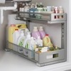 1 Pack 19IN Depth Under Sink Storage Organizer, Large 2-Tier