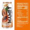 De Mi Pais Mamey Sapote Juice Zapote with Real Pulp