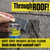 Through The Roof Sealant Clear Gallon Kit, Pack of 1
