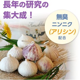 ファイン にんにくエキス粒 無臭ニンニク使用 高麗人参エキス コンドロイチン ビタミンB群配合 44日分(1日15粒/660粒入)×2個セット