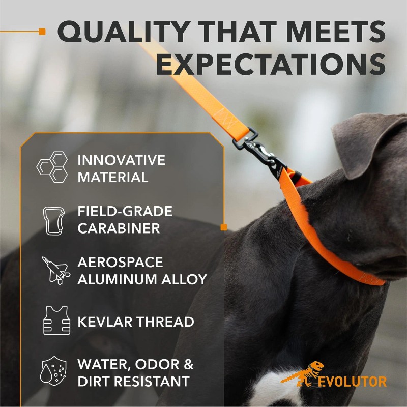 UD_Evolutor Extra Heavy Duty Dog Leash 4 Ft Durable Leash