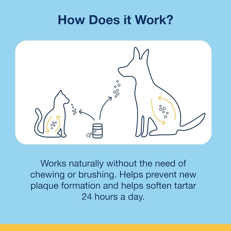 Proden PlaqueOff Dental Care for Dogs and Cats, 60gm